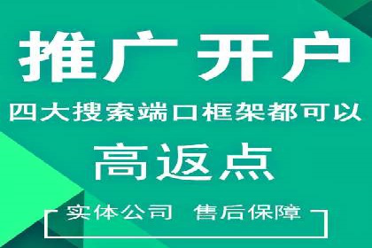 百度搜索引擎优化推广案例解析